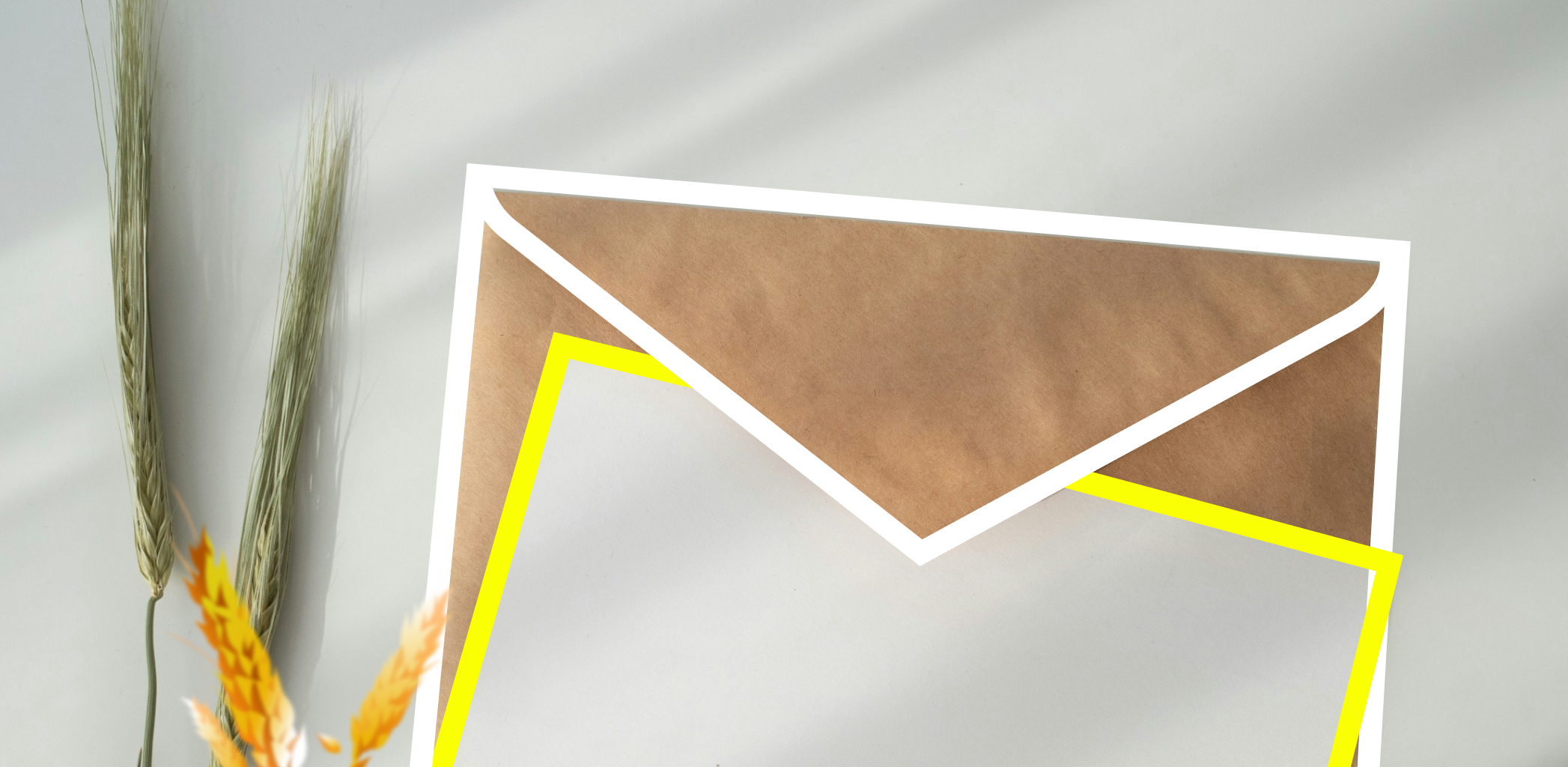 Выписка из ЕГРН: как получить информацию об объекте недвижимости 